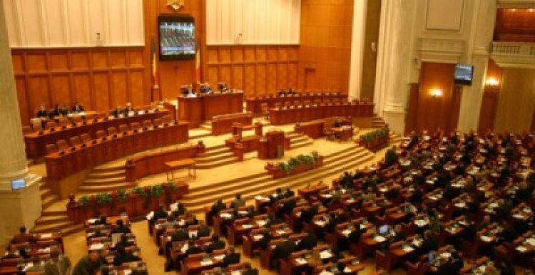 Guvernul lasă Parlamentul să decidă privind donaţiile externe către ONG în scop politic